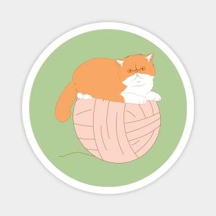 Exotic Shorthair Cat and Yarn Ball Magnet